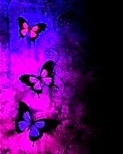 Farfalle Colorate su Sfondo Scuro - wallpaper preview