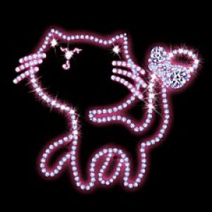 Illustrazione di Gatto Brillante