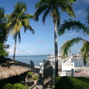 Paradiso Tropicale con Palme