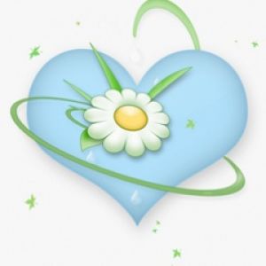 Cuore Blu con Margherita