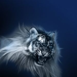 Maestoso Tigre Bianco