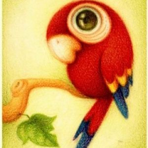 Illustrazione di Pappagallo Colorato
