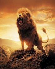 Leone Maestoso che Ruggisce - wallpaper preview