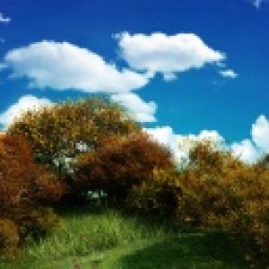 Paesaggio Autunnale Vivace