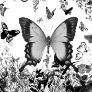 Arte della Farfalla in Bianco e Nero