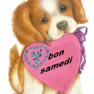 Cucciolo Carino con Cuore