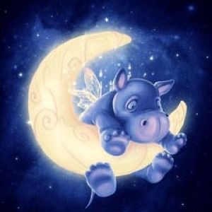 Coccolo ippopotamo sulla luna