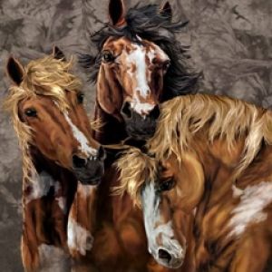 Ritratto di Cavalli Bellissimi