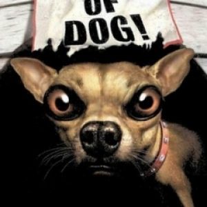 Illustrazione Attenzione al Cane