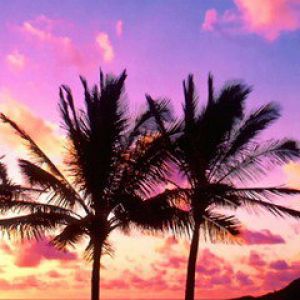 Tramonto tropicale con palme