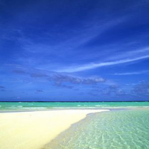Paradiso della Spiaggia Tropicale