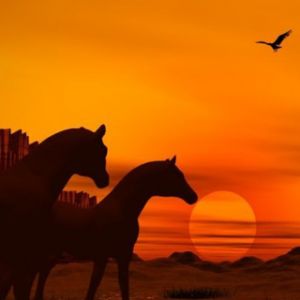 Cavalli al Tramonto