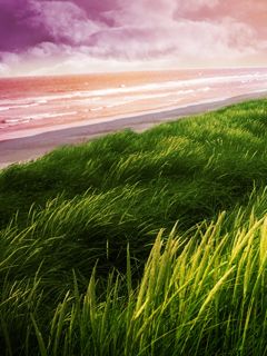 Paesaggio di Spiaggia Sereno