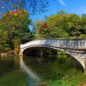 Bellissimo Ponte Sopra l'Acqua