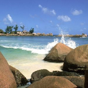 Onde Tropicali sulla Spiaggia