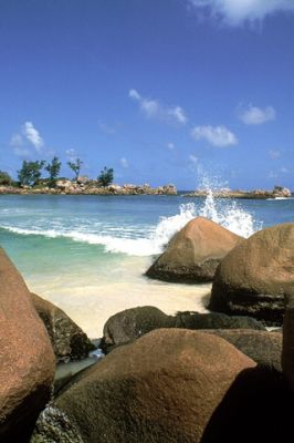 Onde Tropicali sulla Spiaggia - wallpaper preview