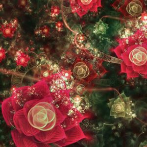 Rose Frattali e Spirali