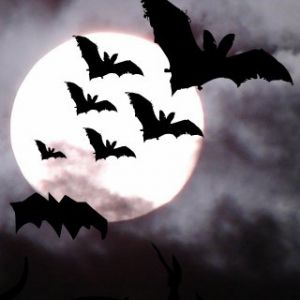 Pipistrelli che Volano Contro la Luna Piena