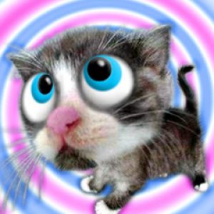 Gatto Cartone Carino