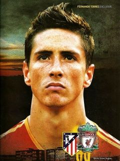 Fernando Torres Calciatore