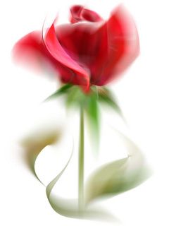Elegante Rosa Rossa - wallpaper preview