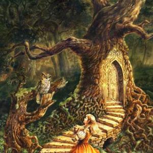 Avventura Fantastica nel Bosco