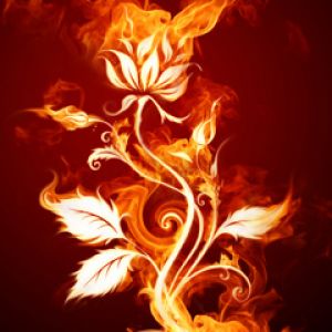 Arte del Fiore di Fiamma