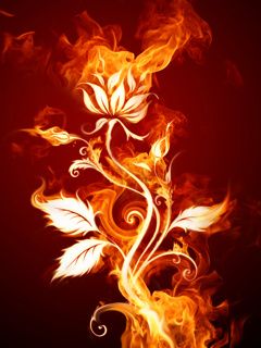 Arte del Fiore di Fiamma - wallpaper preview