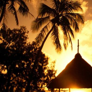 Tramonto Tropicale con Palme