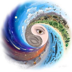 Yin Yang Arte Naturale