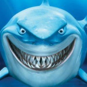 Illustrazione di uno squalo sorridente