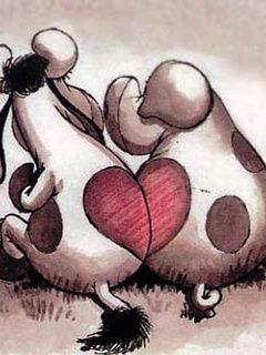 Mucche Carine Innamorate