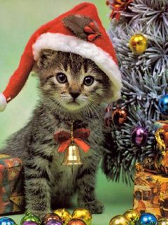 Gatto di Natale Carino - wallpaper preview