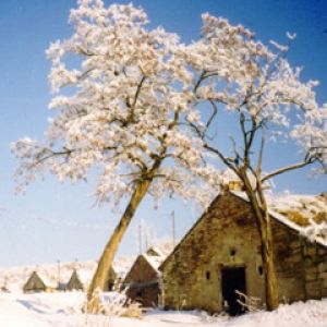Paesaggio invernale innevato