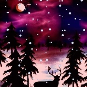 Notte Invernale con Cervo