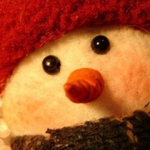Carino Pupazzo di Neve