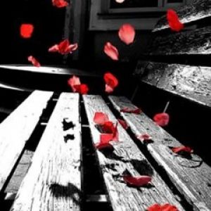 Petali di rosa che cadono su una panchina