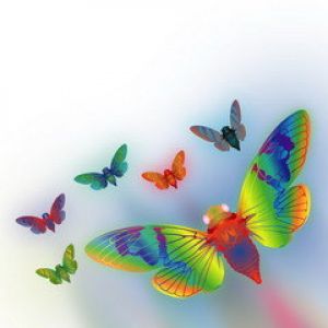 Farfalle Colorate in Volo