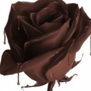 Rosa di Cioccolato