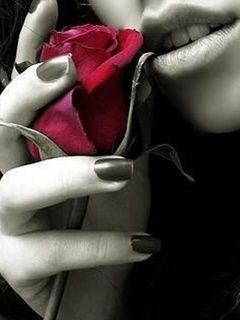 Donna Elegante con Rosa - wallpaper preview