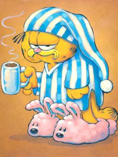 Garfield in Pigiama