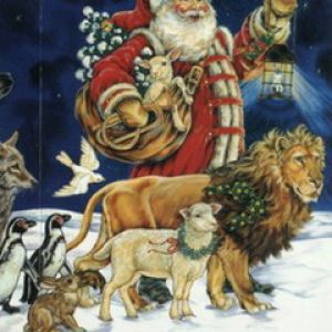 Babbo Natale con Animali