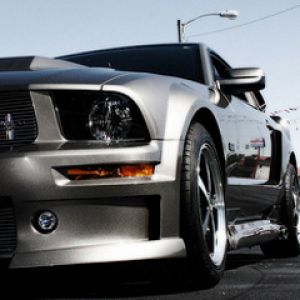 Mustang Argento Elegante