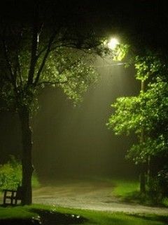 Paesaggio Notturno Nebbioso