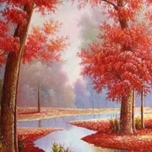 Paesaggio Forestale Autunnale