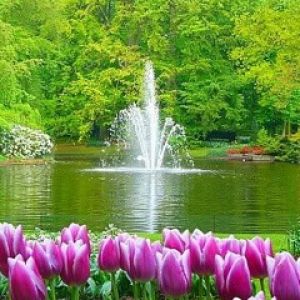 Bellissima Fontana da Giardino