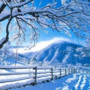 Paesaggio Invernale