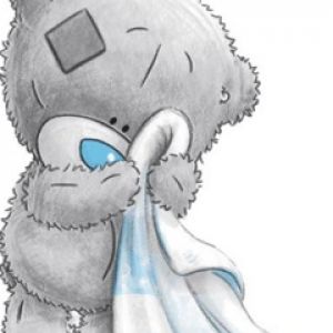 Orsetto Carino con Coperta