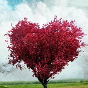 Albero a forma di cuore
