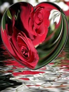 Riflesso a Cuore con Rose